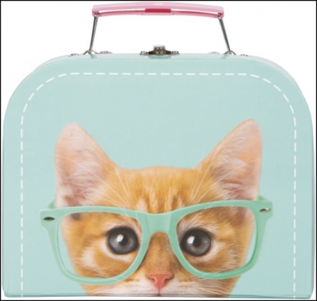 72763 - STUDIO PETS - RAYBEN