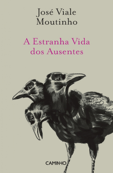 A ESTRANHA VIDA DOS AUSENTES