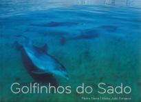 GOLFINHOS DO SADO