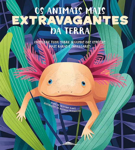 OS ANIMAIS MAIS EXTRAVAGANTES DA TERRA descobre tudo sobre algumas das especiais mais raras e invulgares!