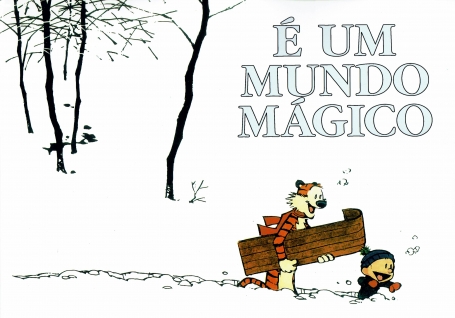 UM MUNDO MÁGICO