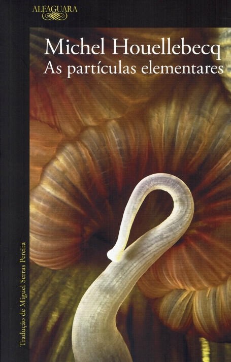 AS PARTÍCULAS ELEMENTARES