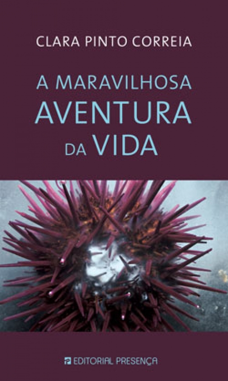 MARAVILHOSA AVENTURA DA VIDA
