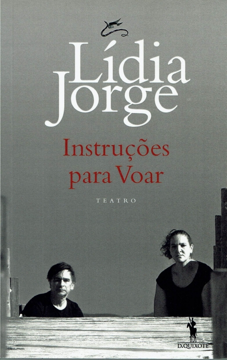 INSTRUÇÕES PARA VOAR