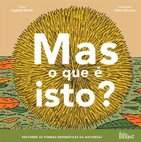 MAS O QUE E ISTO