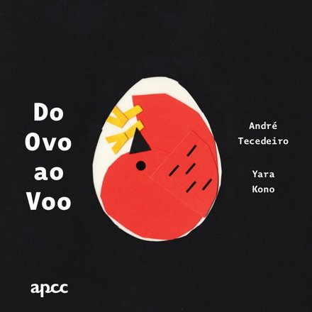 Do Ovo ao Voo