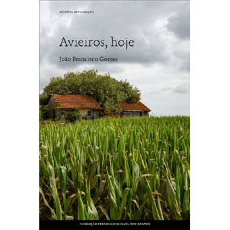 AVIEIROS, HOJE