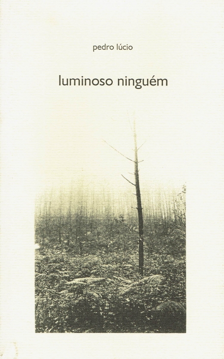 LUMINOSO NINGUEM