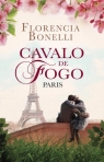 04375.10- CAVALO DE FOGO PARIS