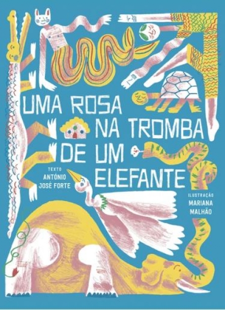 UMA ROSA NA TROMBA DE UM ELEFANTE