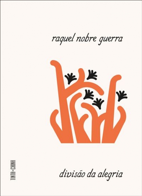 DIVISÃO DA ALEGRIA