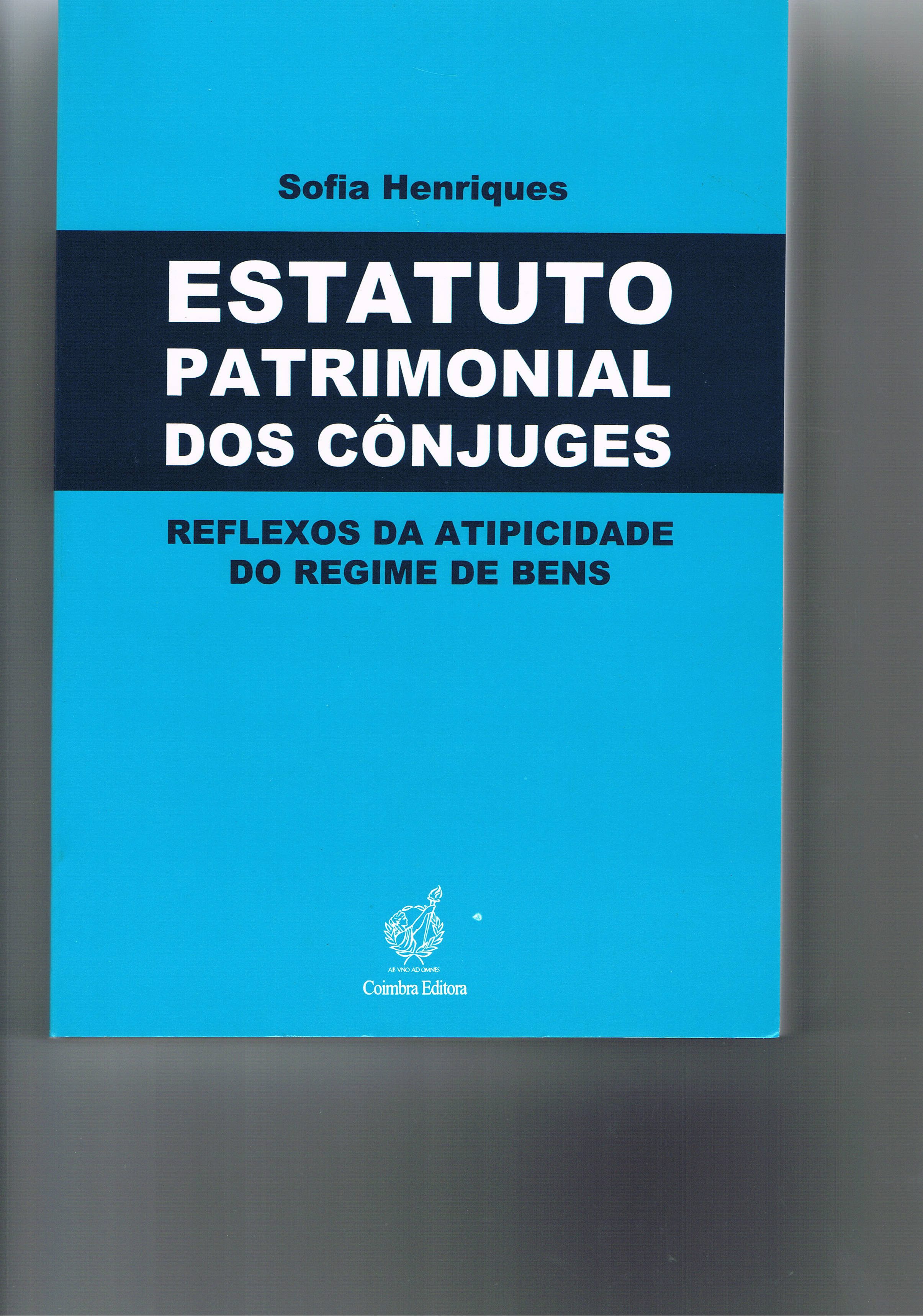 ESTATUTO PATRIMONIAL DOS CONJUGES - reflexos da atipicidade do regime de bens
