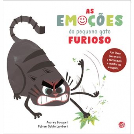 AS EMOCOES DO PEQUENO GATO FURIOSO