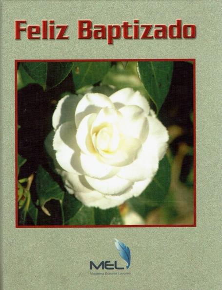 FELIZ BAPTIZADO