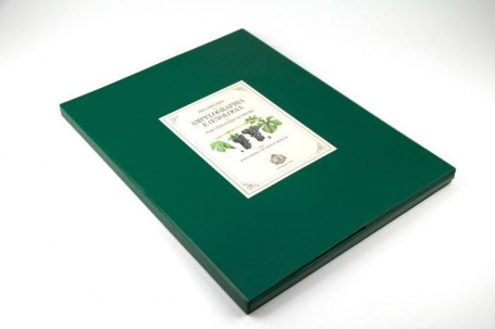 PRELIMINARES DE AMPELOGRAPHIA E OENOLOGIA DO PAIZ VINHATEIRO DO DOURO