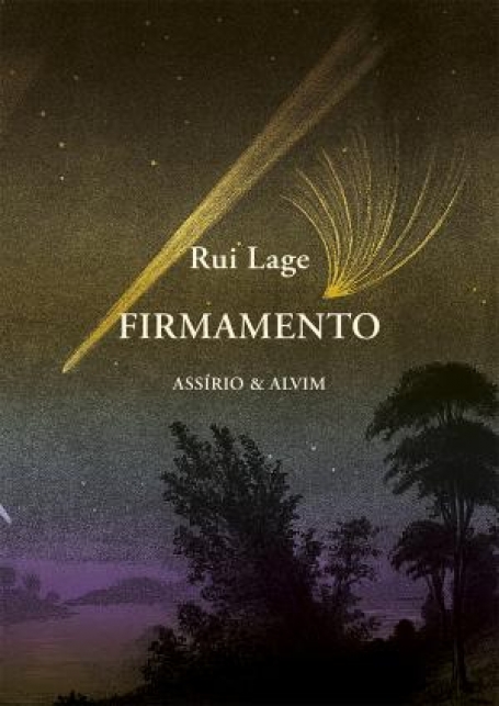 79229.10 FIRMAMENTO