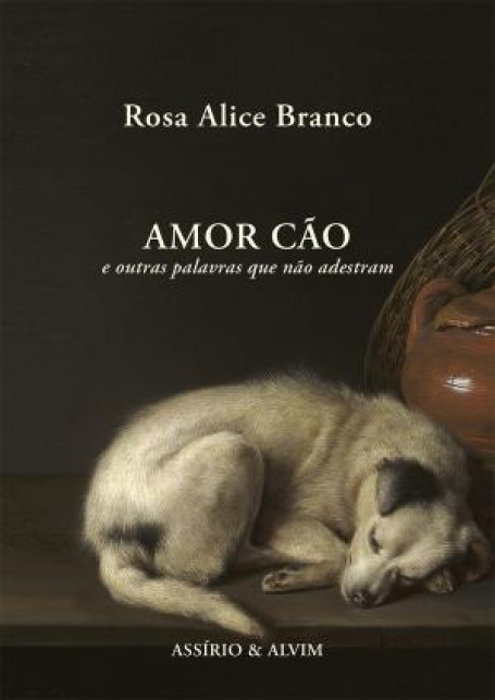 79257.10 - AMOR CÃO