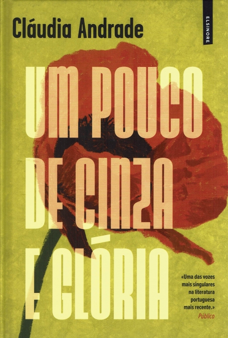 UM POUCO DE CINZA E GLORIA
