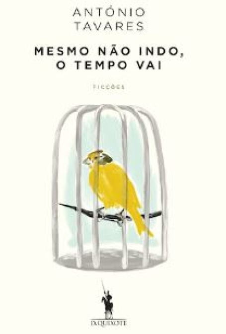 MESMO NÃO INDO O TEMPO VAI