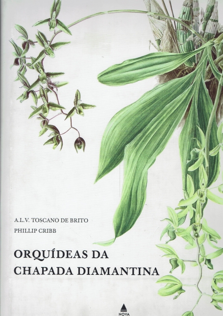 ORQUIDEAS DA CHAPADA DIAMANTINA