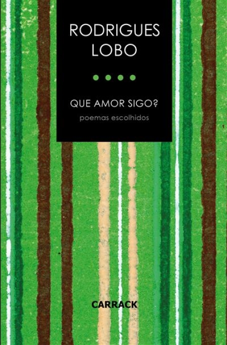 QUE AMOR SIGO? poemas escolhidos