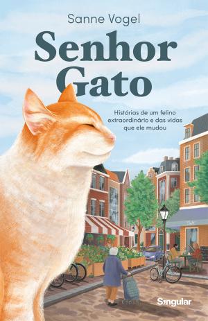 05664.10 - SENHOR GATO