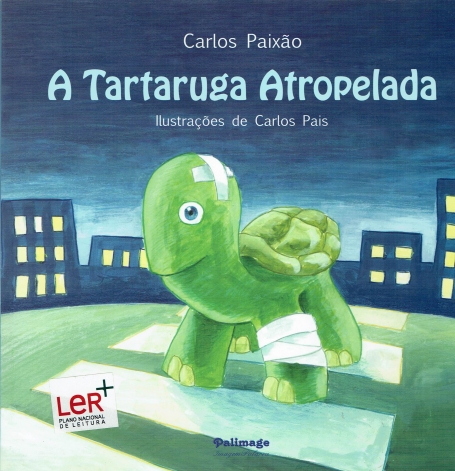 TARTARUGA ATROPELADA