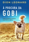 A PROCURA DA GOBI - uma maravilhosa historia real