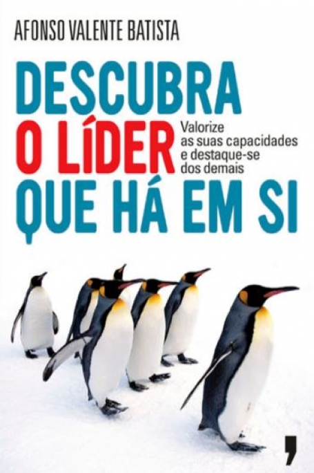 DESCUBRA O LIDER QUE HA EM SI