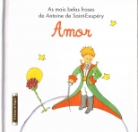 AMOR - AS MAIS BELAS FRASES DE ANTOINE DE SAINT EXUPERY