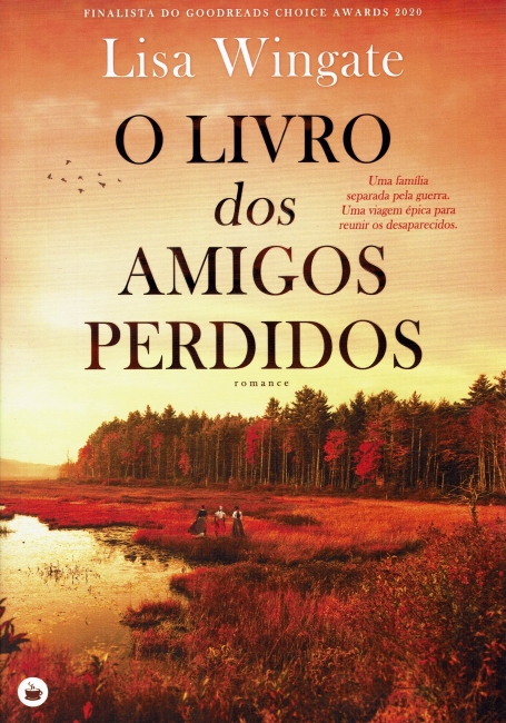 O LIVRO DOS AMIGOS PERDIDOS