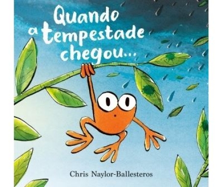 QUANDO A TEMPESTADE CHEGOU...