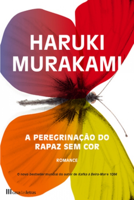A PEREGRINACAO DO RAPAZ SEM COR