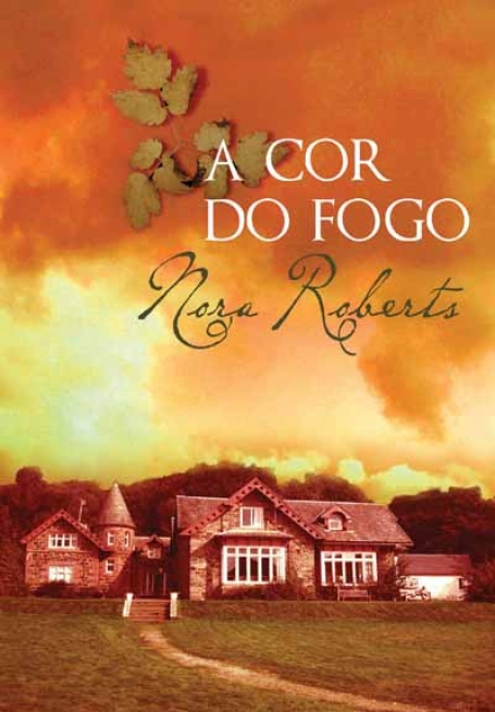 COR DO FOGO - UMA HISTORIA QUE NOS ENSINA A NUNCA VIRAR AS COSTAS AO AMOR