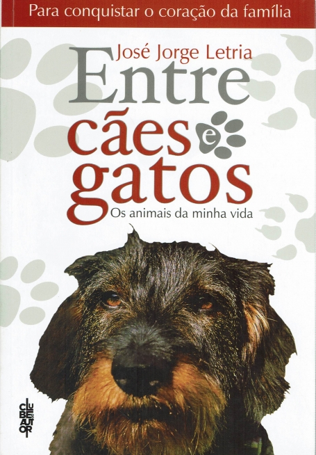 ENTRE CAES E GATOS - OS ANIMAIS DA MINHA VIDA