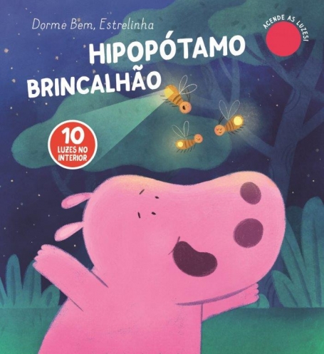 HIPOPÓTAMO BRINCALHÃO