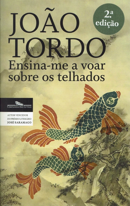 ENSINA-ME A VOAR SOBRE OS TELHADOS