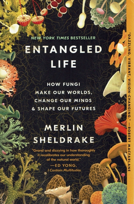 ENTANGLED LIFE