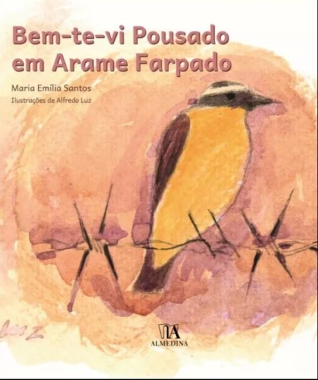 BEM TE VI POUSADO EM ARAME FARPADO