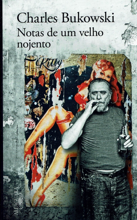 NOTAS DE UM VELHO NOJENTO (BOLSO)