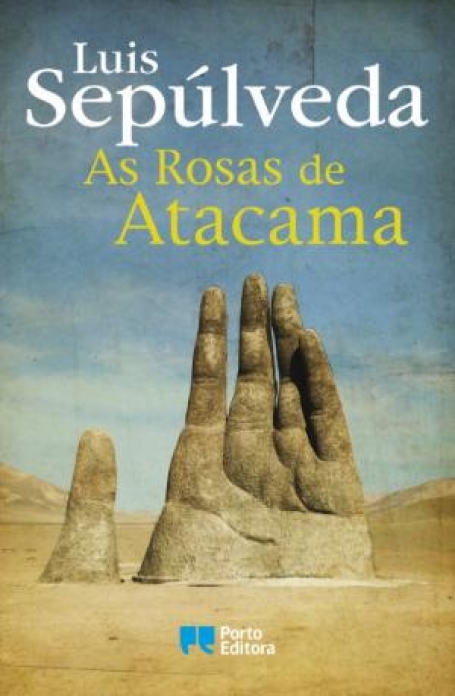 04091.10 - AS ROSAS DE ATACAMA
