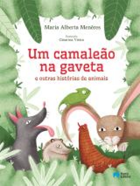 72079.10 - UM CAMALEAO NA GAVETA