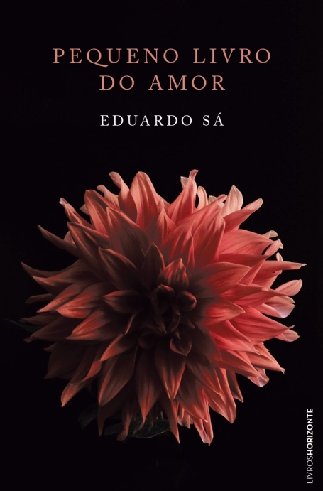 PEQUENO LIVRO DO AMOR