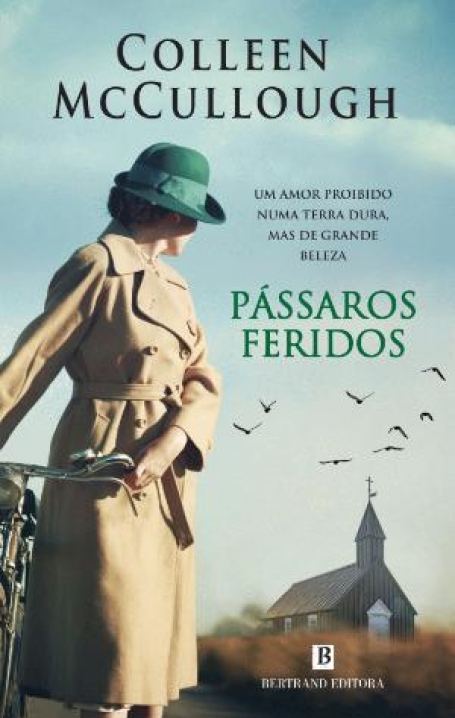 PÁSSAROS FERIDOS