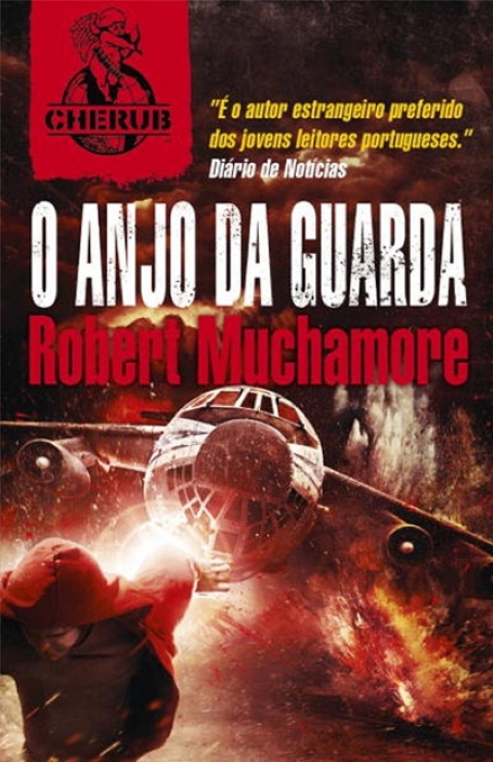 04256.14 - ANJO DA GUARDA Nº14