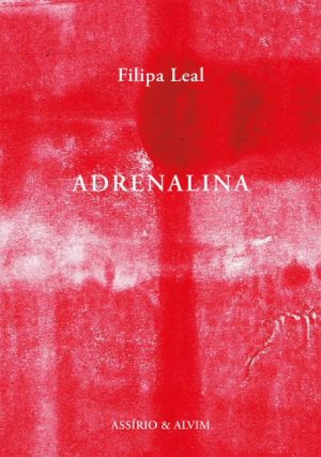79577.10 - ADRENALINA