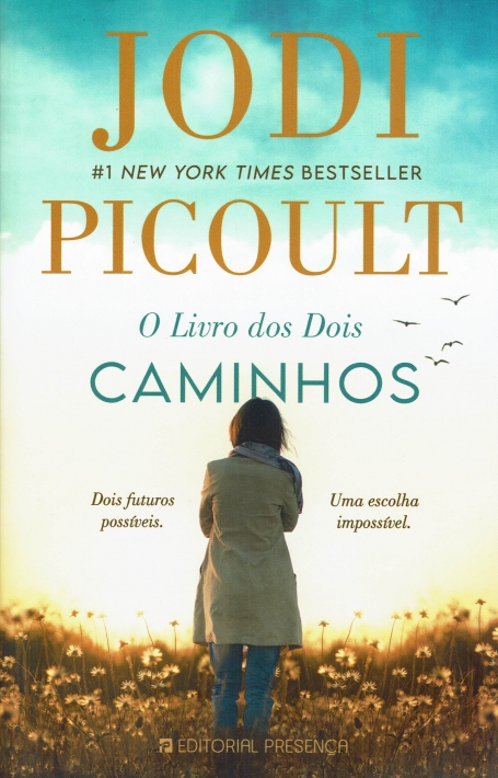 O LIVRO DO DOIS CAMINHOS dois futuros possiveis. uma escolha impossivel