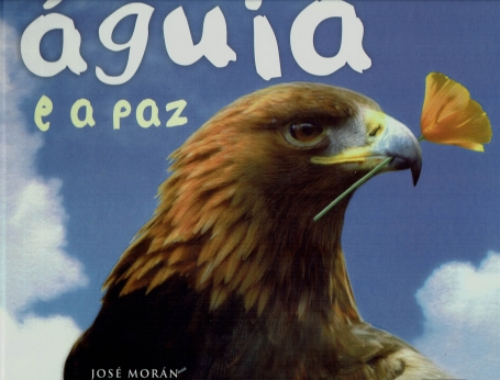 A ÁGUIA E A PAZ - VALORES