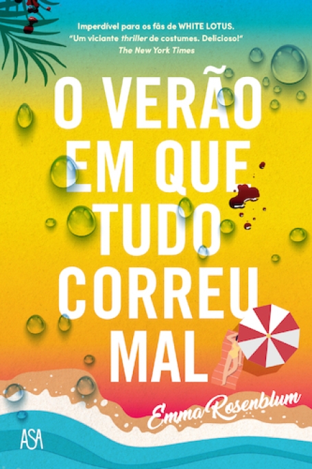 O VERÃO EM QUE TUDO CORREU MAL