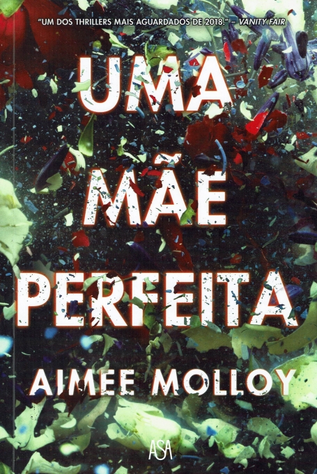UMA MAE PERFEITA